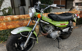 SUZUKI VAN VAN125 RV125