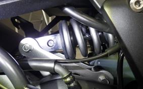KAWASAKI NINJA 1000 2015