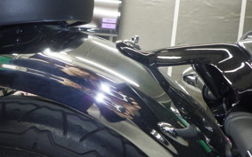 KAWASAKI W800 2022 EJ800E