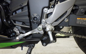 KAWASAKI NINJA 250 ABS 2024 EX250L