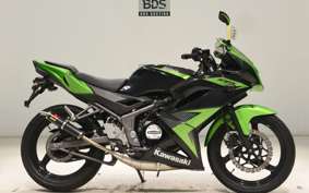 KAWASAKI NINJA150RR 2011