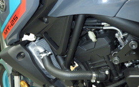 YAMAHA MT-25 A 2008 RG74J
