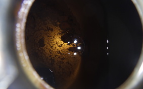 SUZUKI BIRDIE 50 2023 BA41A