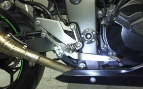 KAWASAKI NINJA 250 ABS