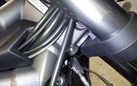 TRIUMPH STREET TRIPLE RS 2021