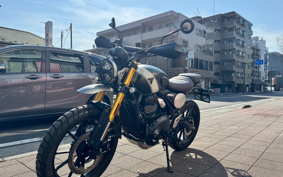 TRIUMPH  TRIUMPH  SCRAMBLER 400X 2024 T147Y1