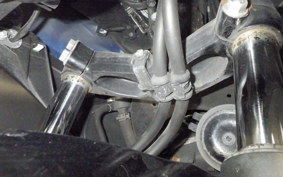 HONDA FAZE 2023 MF11