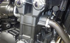 HONDA CB1300SB SUPER BOLDOR SP 2019 SC54