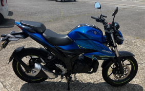 SUZUKI JIKUSA-150 ED131
