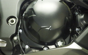 KAWASAKI NINJA 1000SX 2023 ZXT02K