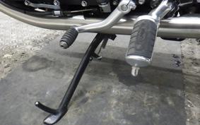 TRIUMPH BONNEVILLE T100 2023
