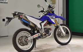 YAMAHA WR250R 2021 DG15J
