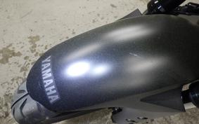 YAMAHA MT-25 A 2010 RG43J