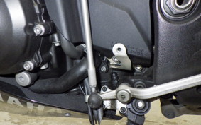 YAMAHA YZF-R1 2009 RN24J