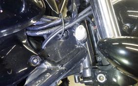 KAWASAKI ELIMINATOR 250 V 2025 VN250A