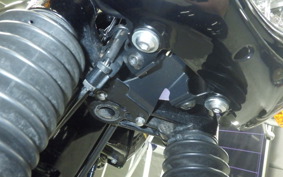 KAWASAKI W800 CAFE 2022 EJ800E