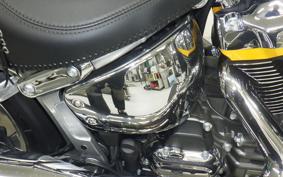 HARLEY FLSTFI1920 2025