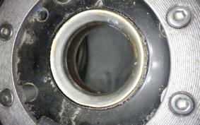 SUZUKI GOOSE 250 NJ46A