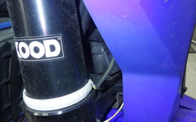 YAMAHA WR250X 2026 DG15J