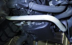 HONDA ZOOMER 2007 AF58