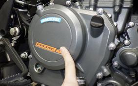 KTM 250 ADVENTURE 2016