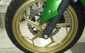 KAWASAKI Z250 A 2021 ER250C