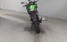KAWASAKI  VERSYS X250 LE250D