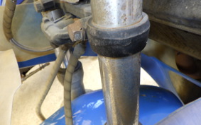 SUZUKI RG250 Gamma GJ21A