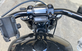 HARLEY FXBB 2020 YJJ