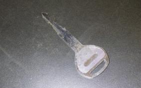 HONDA TACT-4ﾍﾞｰｼｯｸ 2017 AF79