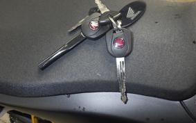 HONDA CBR600RR 2024 PC40
