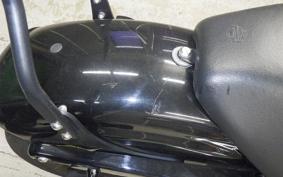 HARLEY XL1200NS 2020