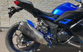 KAWASAKI NINJA 250 EX250L