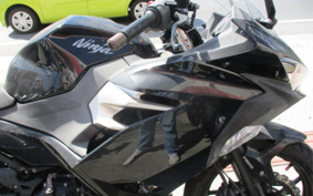 KAWASAKI NINJA 250 EX250P