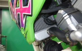 KAWASAKI KLX250 Gen.2 2023 LX250S