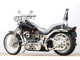 Фото Harley FXSTS 2005 с японского аукциона
