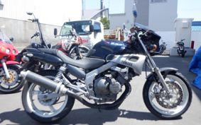 YAMAHA ZEAL 3YX