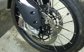 TRIUMPH TIGER 900 RALLY PRO 2026