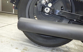 HARLEY XL883N 2010