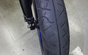 KAWASAKI KLX250D TRACKER X 2007 LX250V