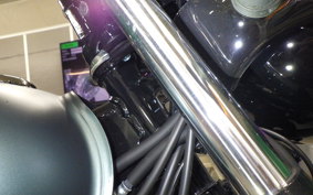 KAWASAKI W230 2025 BJ230A