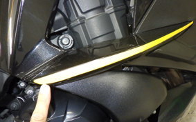 KAWASAKI NINJA 1000 A 2019 ZXT00W