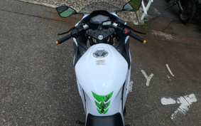 KAWASAKI NINJA 250 EX250L