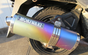 SUZUKI SKYWAVE 250S-1 CJ43A