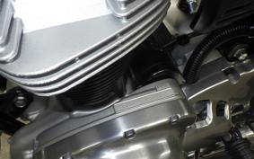 KAWASAKI W800 2024 EJ800E