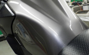 KAWASAKI VERSYS X250 A 2025 LE250D