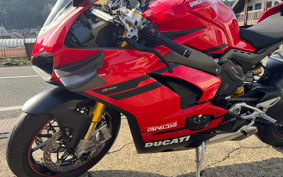 DUCATI PANIGA-REV4S 2018 DA00J