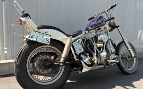 HARLEY FXE1200 2024 445