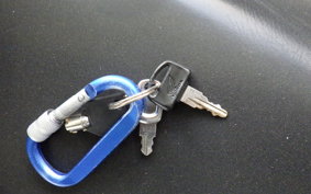 HONDA GYRO CANOPY 2024 TA03