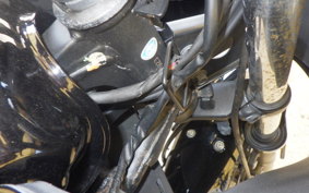 KAWASAKI NINJA 250R EX250K